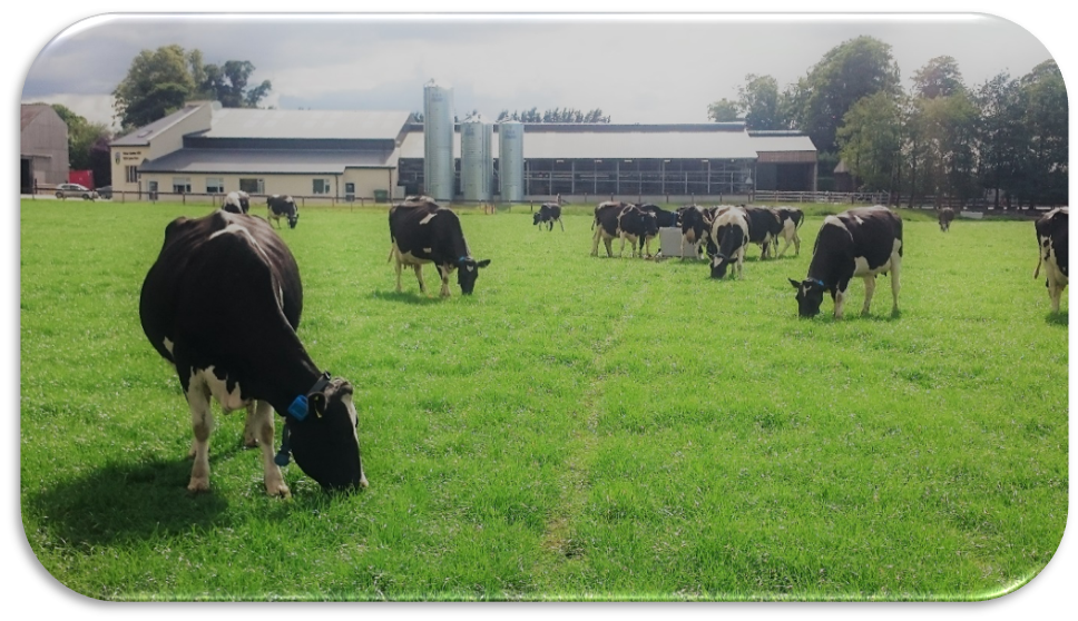 Join UCD SoilSphere for a walking tour of field experiments that include a soil research component at Lyons Farm, and to get a sense of the important work happening there in relation to food security and climate change adaptation and mitigation in Ireland.